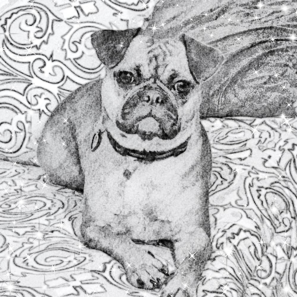 Meet your Posher, Ruth